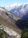 Blick ins Antronatal